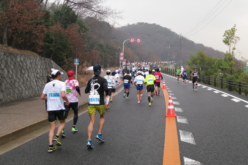 京都マラソン2013