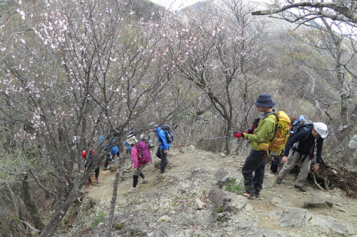 20130428_tanzawa_10.JPG