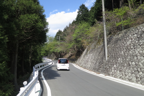 20130428_tanzawa_13.JPG