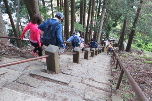 20130428_tanzawa_20.JPG