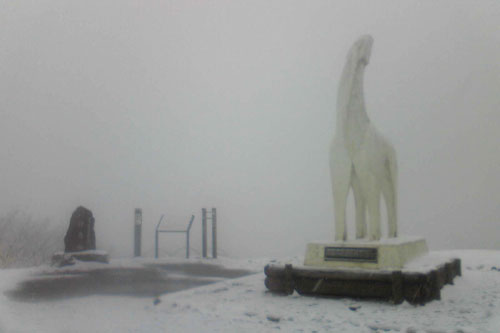 20100310_snow_03.jpg