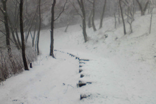 20100310_snow_04.jpg