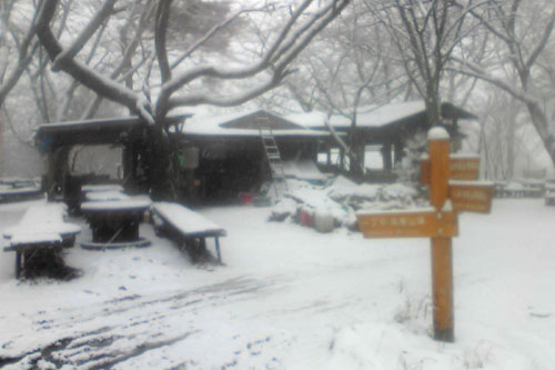 20100310_snow_07.jpg