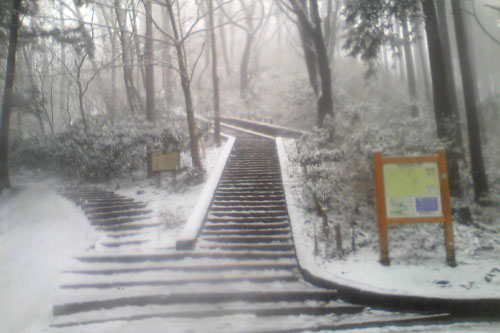 20100310_snow_08.jpg