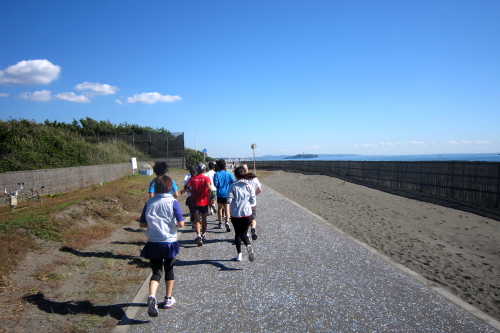 20101103_shonan_01.JPG