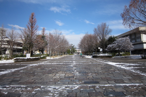 20110101_kyoto_02.JPG