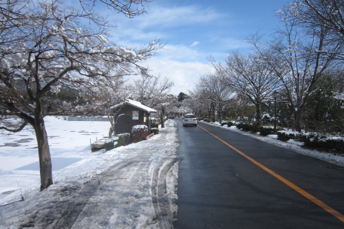 20110101_kyoto_16.JPG