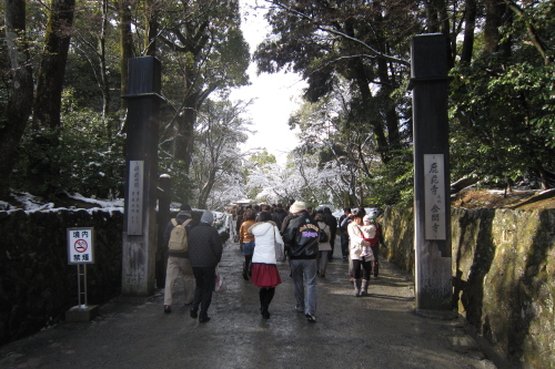 20110101_kyoto_23.JPG