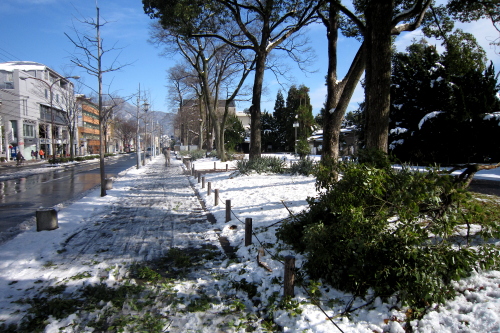 20110101_kyoto_39.JPG
