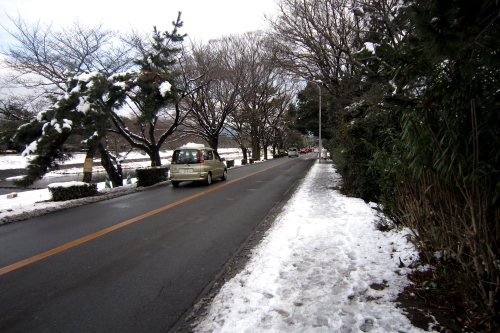 20110101_kyoto_61.JPG