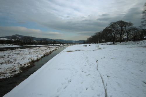 20110101_kyoto_63.JPG