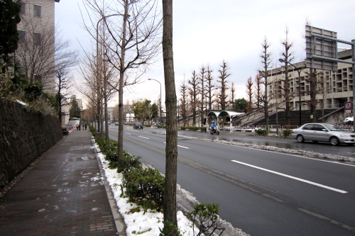 20110101_kyoto_81.JPG