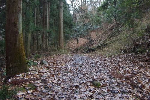 20120102_hiei_02.JPG