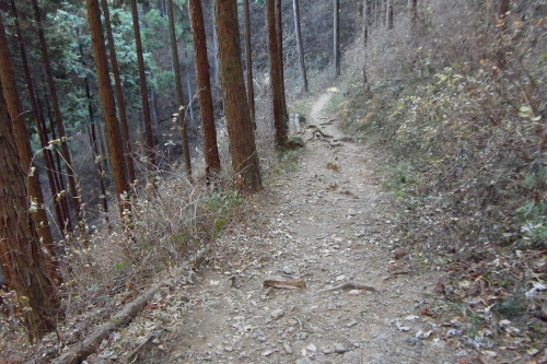 20120109_takao_15.JPG