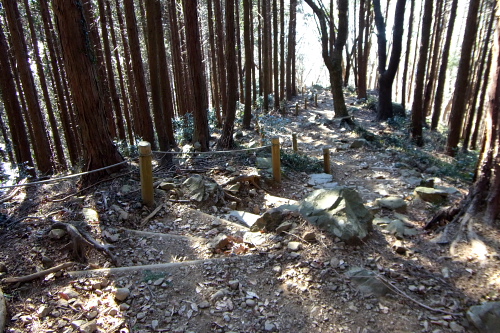 20120109_takao_16.JPG