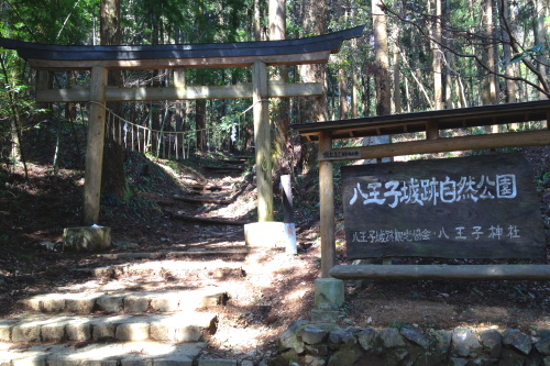 20120401_takao_05.JPG