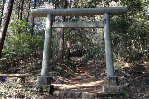 20120401_takao_06.JPG