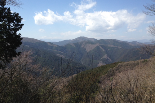 20120401_takao_21.JPG