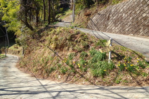 20120401_takao_28.JPG